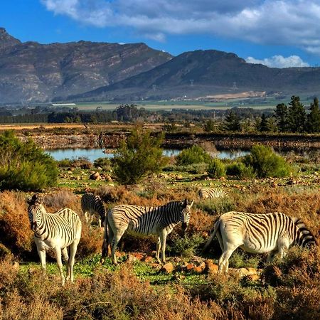 Welbedacht Game & Nature Reserve Tulbagh Eksteriør bilde