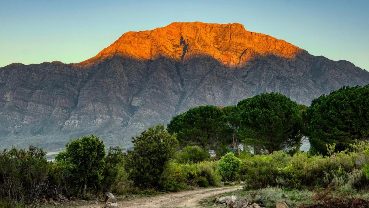 Welbedacht Game & Nature Reserve Tulbagh Eksteriør bilde
