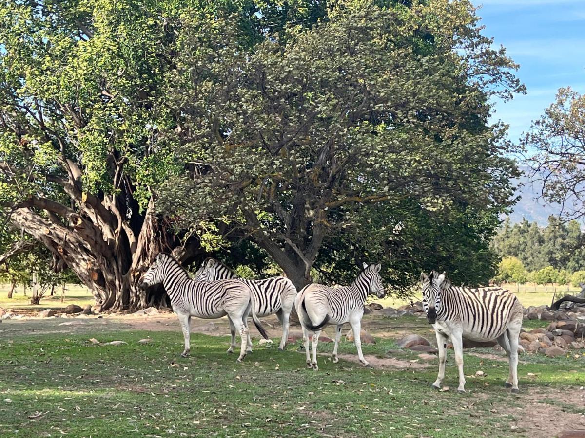 Welbedacht Game & Nature Reserve Tulbagh Eksteriør bilde
