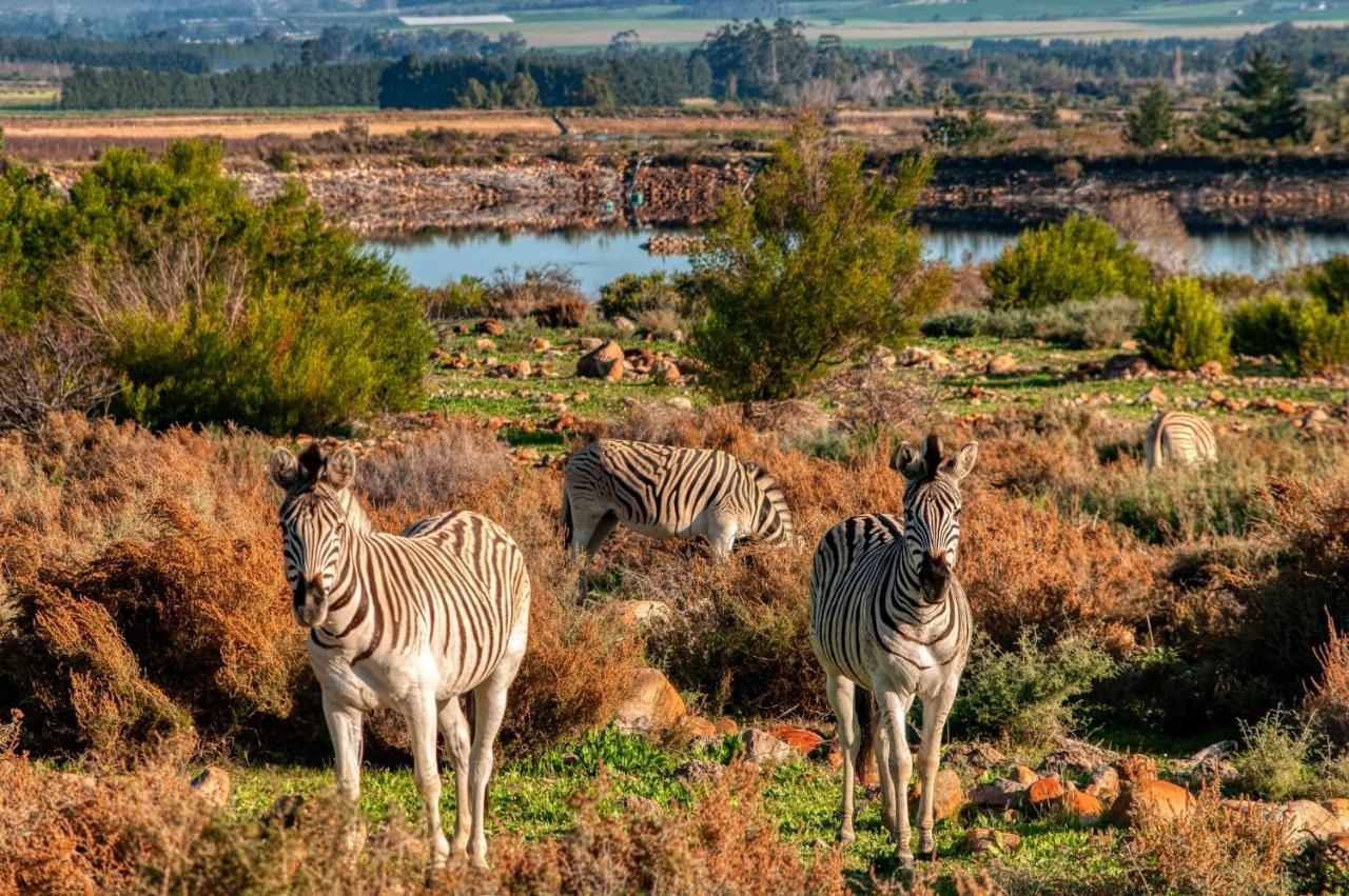 Welbedacht Game & Nature Reserve Tulbagh Eksteriør bilde