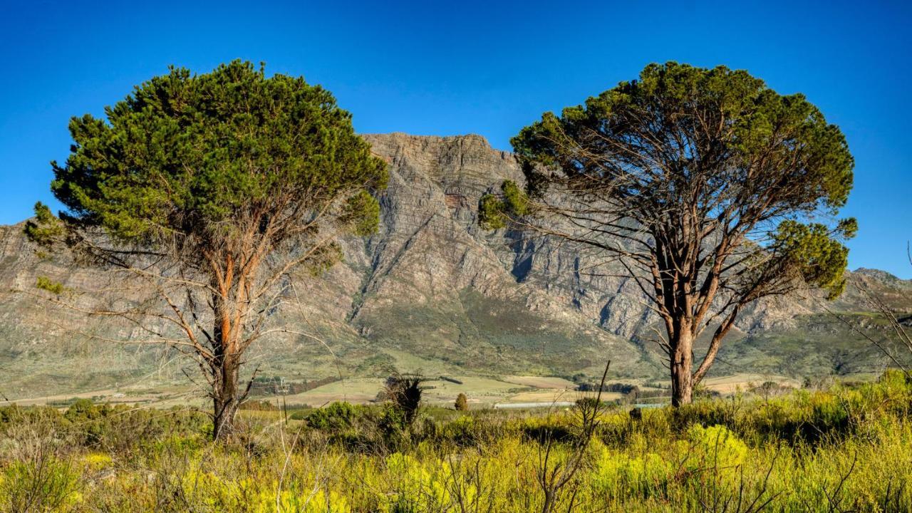 Welbedacht Game & Nature Reserve Tulbagh Eksteriør bilde