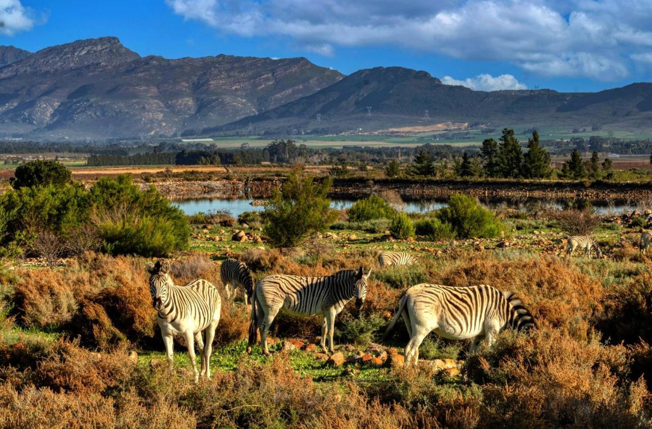 Welbedacht Game & Nature Reserve Tulbagh Eksteriør bilde