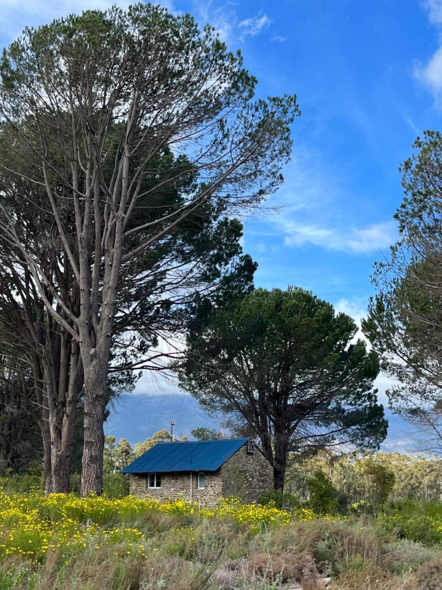 Welbedacht Game & Nature Reserve Tulbagh Eksteriør bilde
